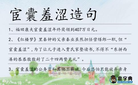 宦囊羞澀造句