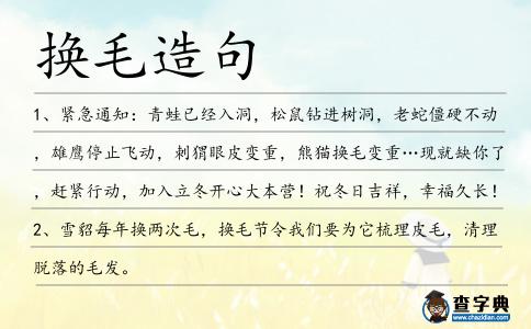 換毛造句