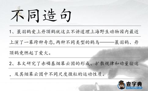 不同造句
