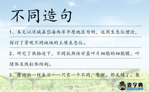 不同造句