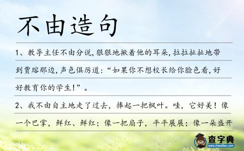不由造句