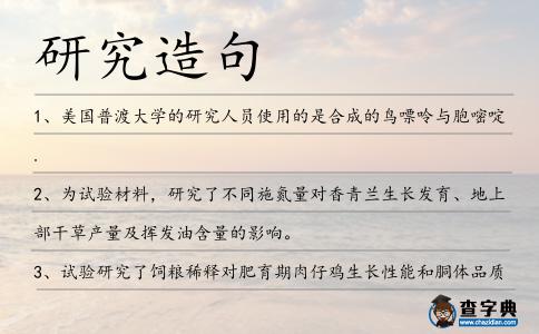 研究造句