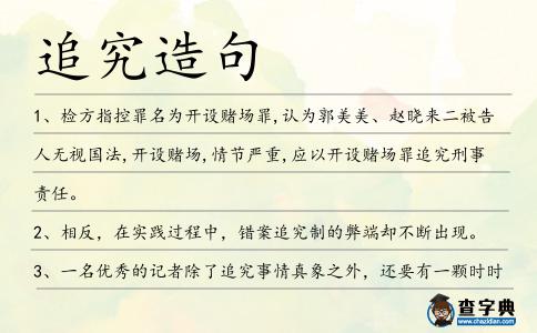 追究造句