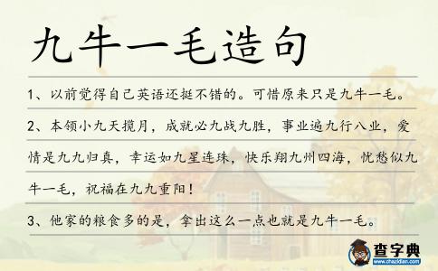 九牛一毛造句