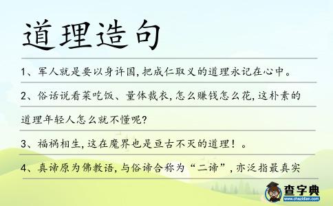 道理造句