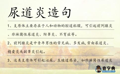 尿道炎造句