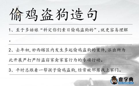 偷雞盜狗造句