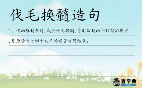 伐毛換髓造句