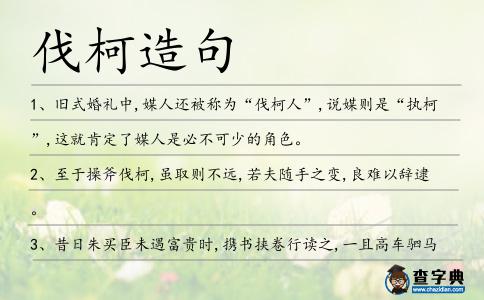 伐柯造句