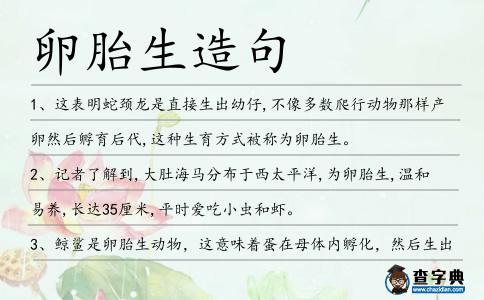 卵胎生造句