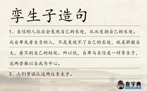孿生子造句