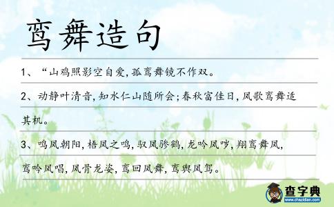 鸞舞造句