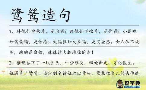 鷺鷥造句