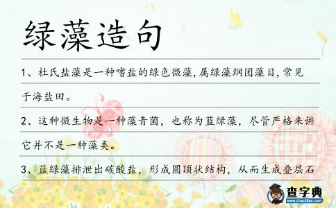綠藻造句