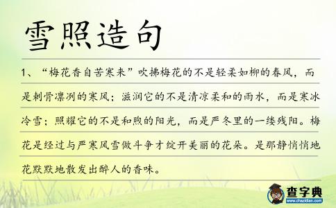 雪照造句
