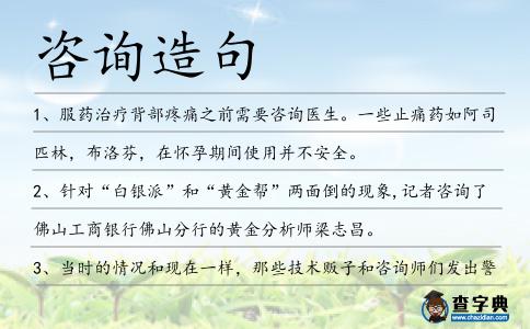 咨詢造句