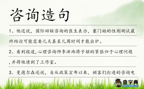 咨詢造句