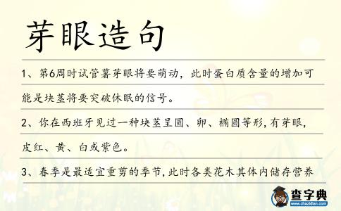 芽眼造句