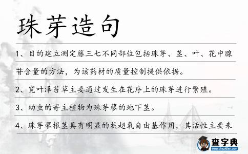 珠芽造句