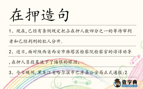 在押造句