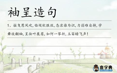 袖呈造句