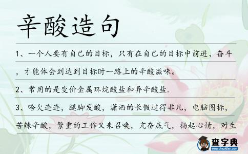 辛酸造句