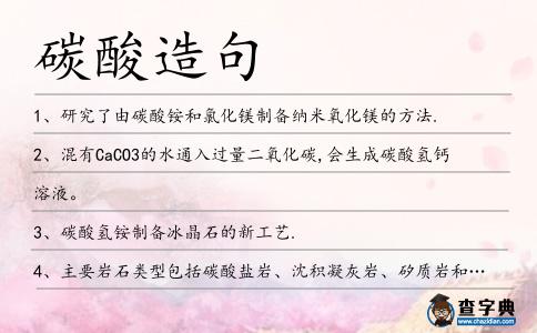碳酸造句