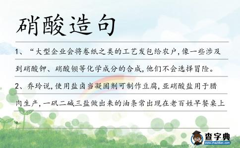 硝酸造句