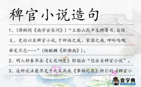 稗官小說(shuō)造句