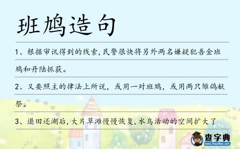 班鳩造句