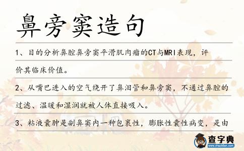 鼻旁竇造句