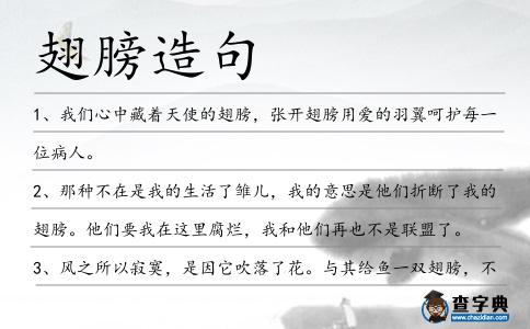 翅膀造句
