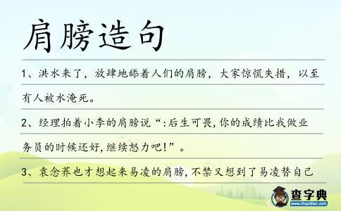 肩膀造句