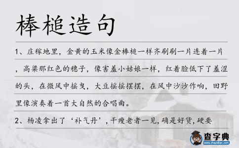 棒槌造句