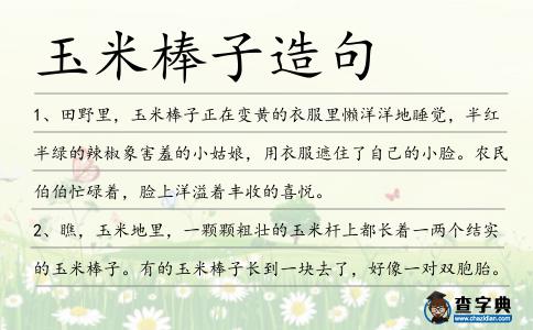 玉米棒子造句