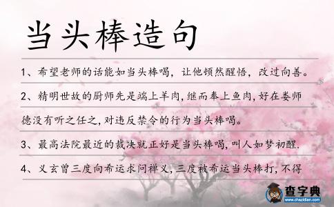 當頭棒造句