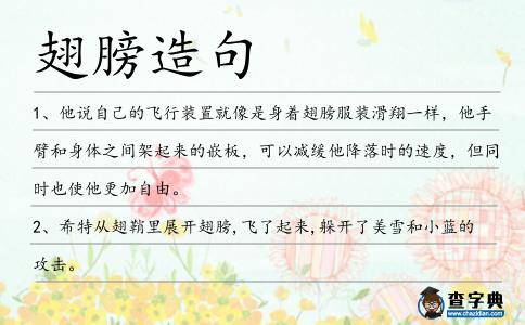 翅膀造句