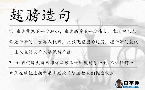 翅膀造句
