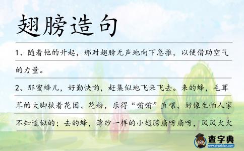 翅膀造句