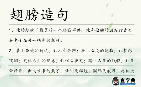 翅膀造句
