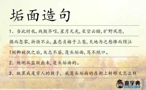 垢面造句