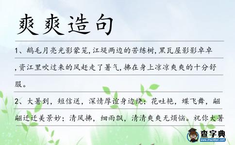 爽爽造句