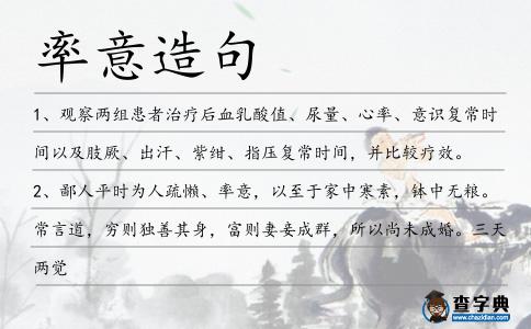 率意造句