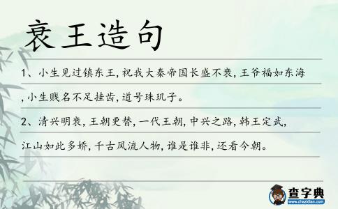 衰王造句