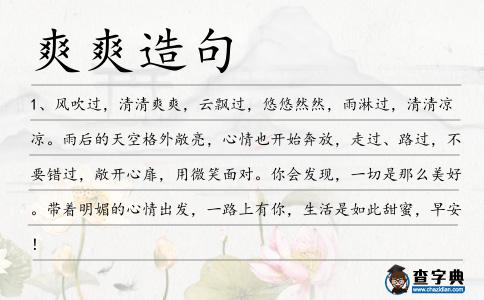 爽爽造句