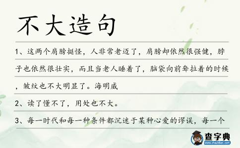 不大造句