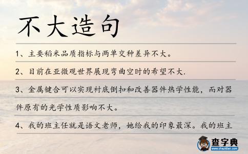 不大造句
