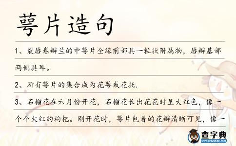 萼片造句
