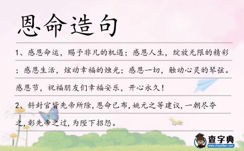恩命造句