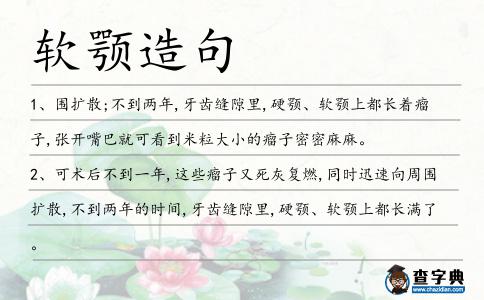 軟顎造句